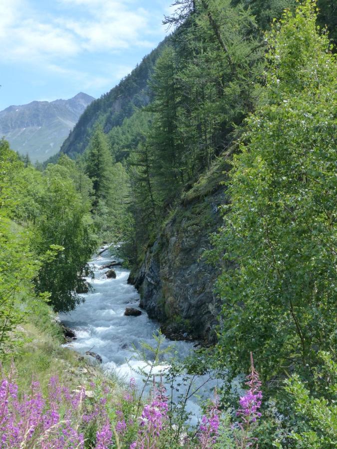 Tranquillite Et Authenticite Au Pied Des Ecrins Apartment Villar-d'Arene Bagian luar foto